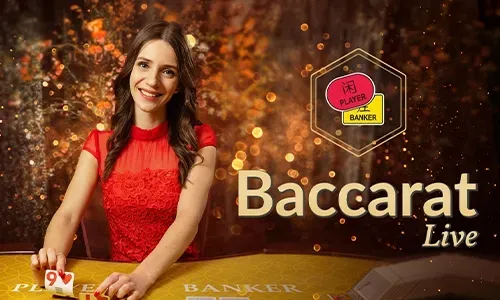 jljl88 Free Spins